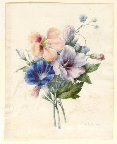 Flowers Including Blue Convolvulus, 1836 by V. Medard